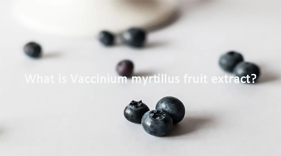 Vaccinium Myrtillus 果実エキスとは何ですか?