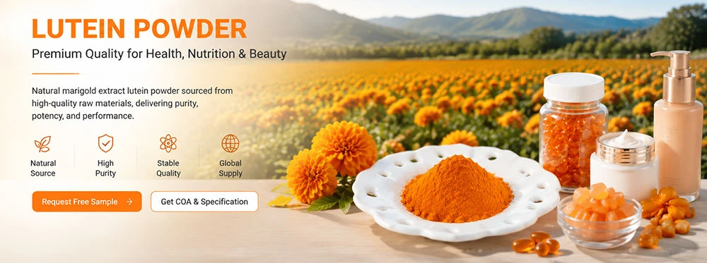 Lutein-Powder-Manufacturer--Bulk-Supplier Lutein-Powder-Manufacturer--Bulk-Supplier