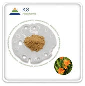 ベラムカンダシネンシスエキス